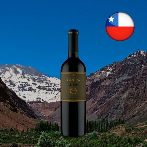 Canepa Magnificum D.O. Valle del Maipo Cabernet Sauvignon 2013 - Oferta