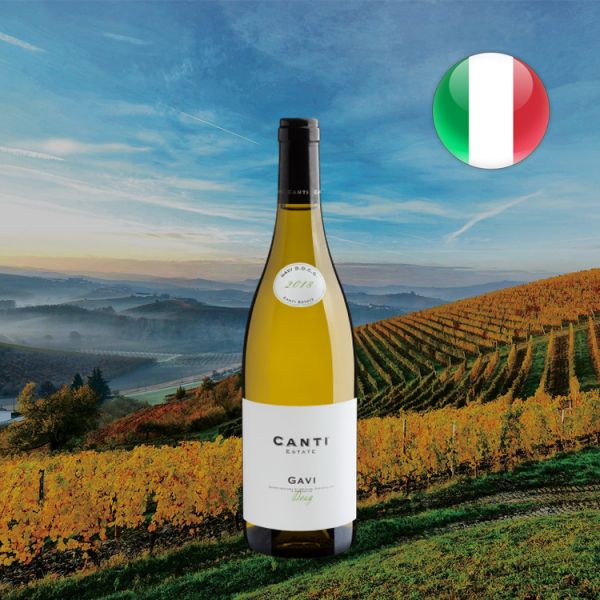 Canti Estate Gavi DOCG 2018 - Oferta