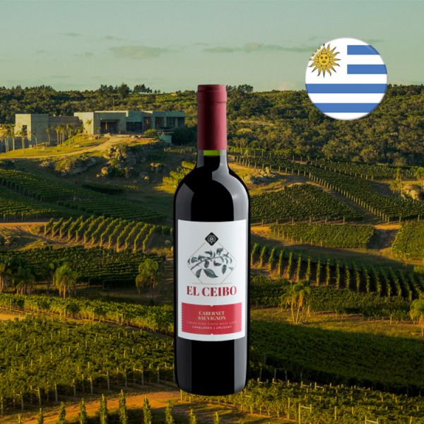 El Ceibo Cabernet Sauvignon 2019 - Oferta