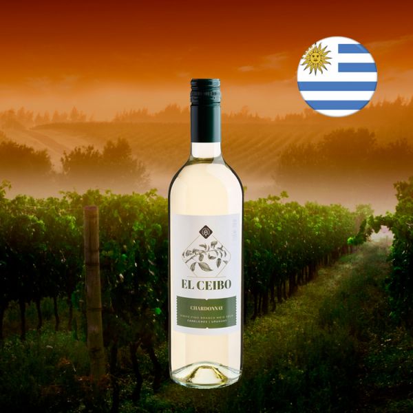 El Ceibo Chardonnay 2020 - Oferta