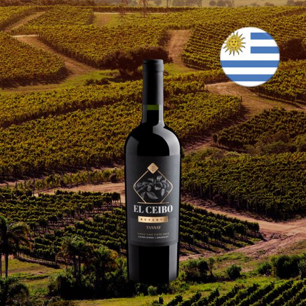 El Ceibo Tannat Reserva 2018 - Oferta