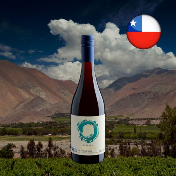 O Reserva Pinot Noir Valle del Bío-Bío D.O. 2019 - Oferta