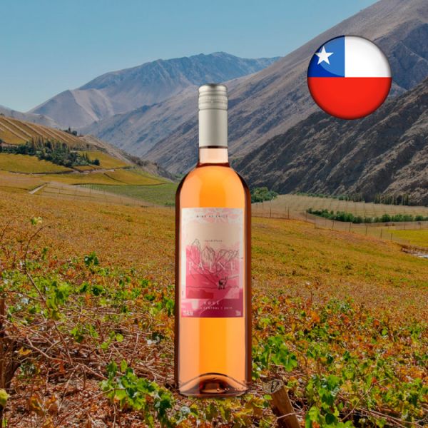 Paine Rosé 2019 - Oferta