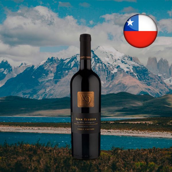 V9 Gran Reserva Single Vineyard Carménère 2017 - Oferta