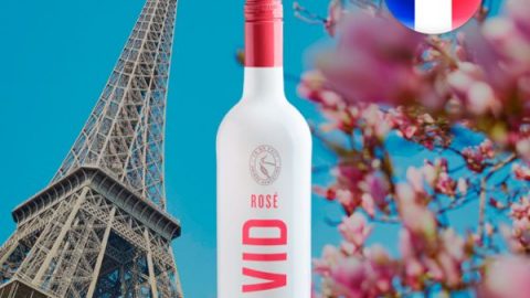 Vivid Rosé - Oferta
