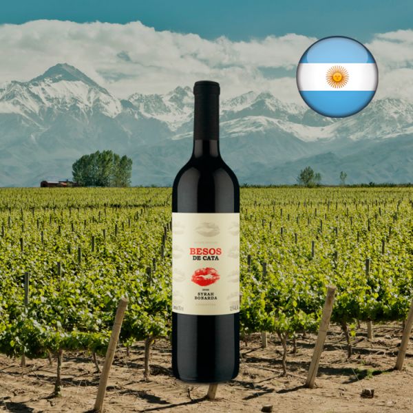 Besos de Cata Syrah Bonarda 2020 - Oferta