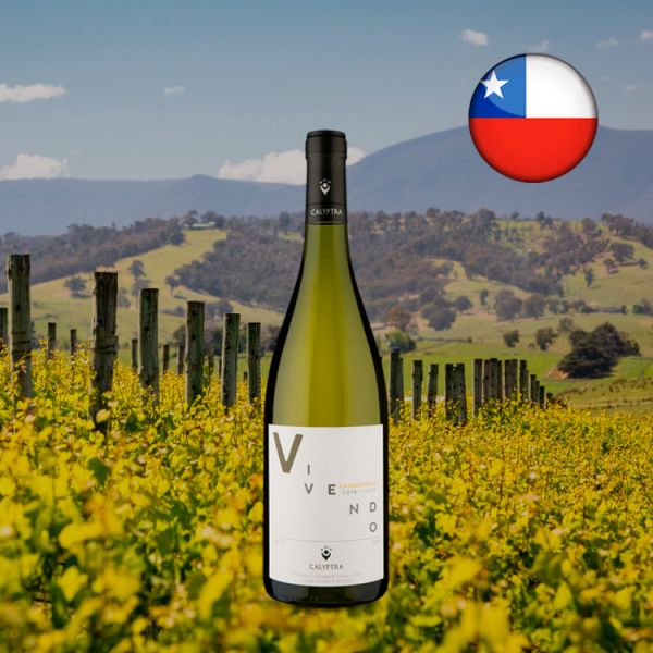 Calyptra Vivendo Reserve D.O. Alto Cachapoal Chardonnay 2018 - Oferta