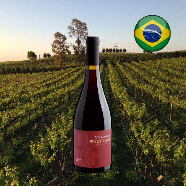 Don Giovanni Pinot Noir 2018 - Oferta