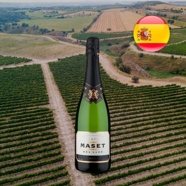 Espumante Cava Maset Del Lleó Brut - Oferta