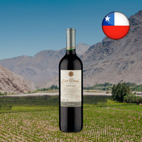 Finca Dorada Selección Especial Syrah 2019 - Oferta