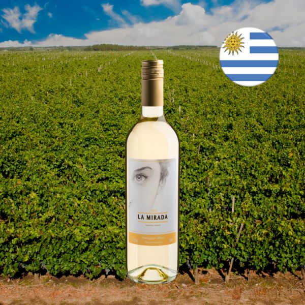 La Mirada Sauvignon Blanc 2020 - Oferta