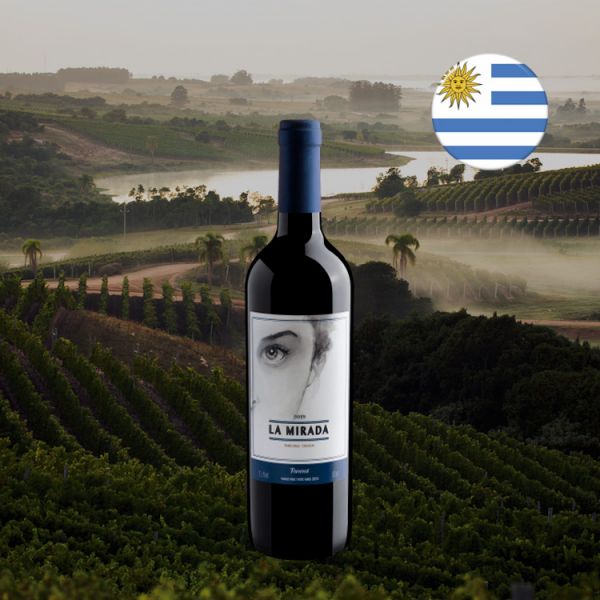 La Mirada Tannat Tinto 2019 - Oferta
