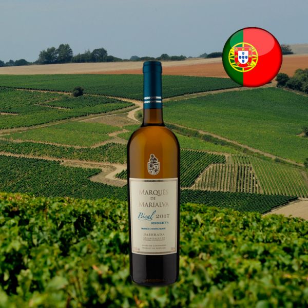 Marquês de Marialva Reserva Bairrada D.O.C. Bical 2017 - Oferta