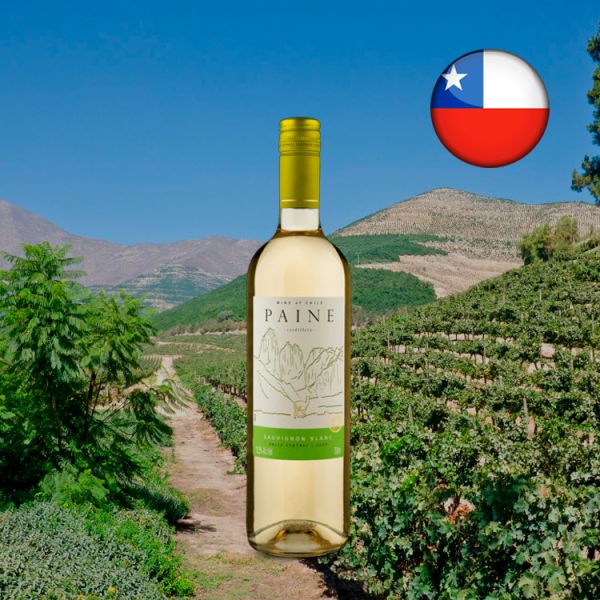 Paine Sauvignon Blanc 2020 - Oferta
