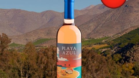 Playa Azul Winemaker Selection Rosé Syrah Central Valley D.O. 2020 - Oferta