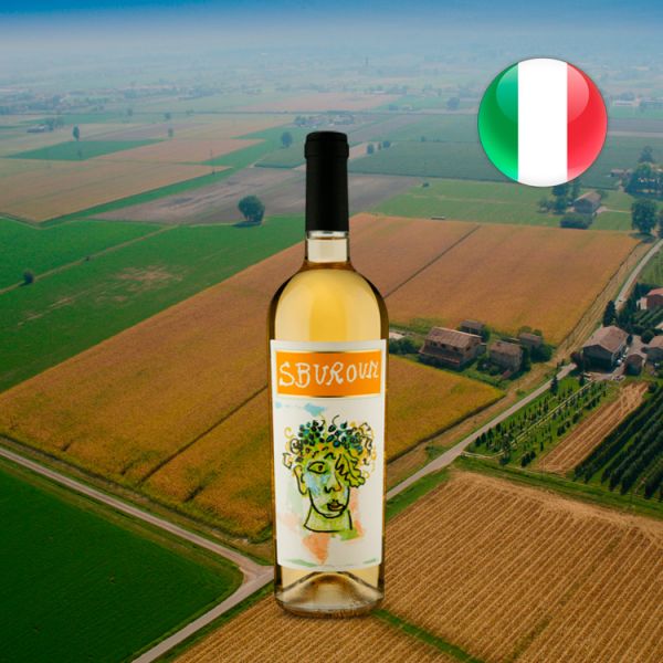 Sburoun I.G.T. Rubicone Bianco 2018 - Oferta