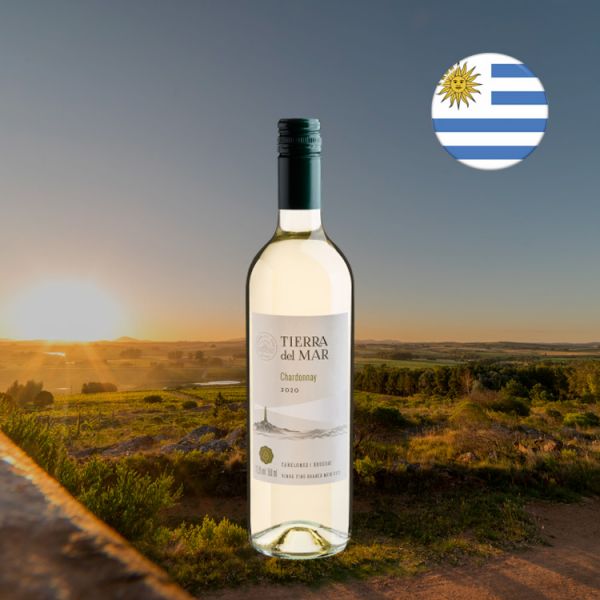 Tierra del Mar Chardonnay 2020 - Oferta
