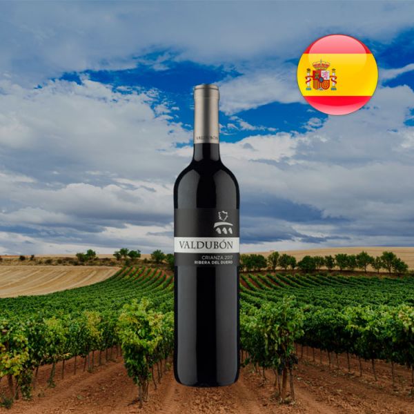 Valdubón Crianza D.O. Ribera del Duero 2017 - Oferta