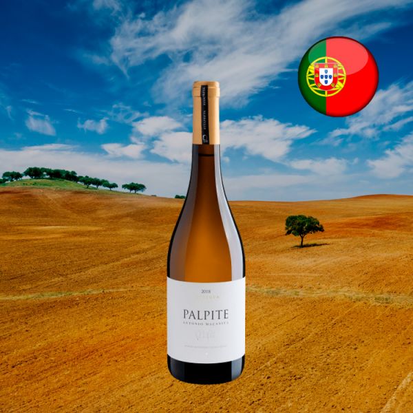 António Maçanita Palpite Reserva Alentejano Branco 2018 - Oferta