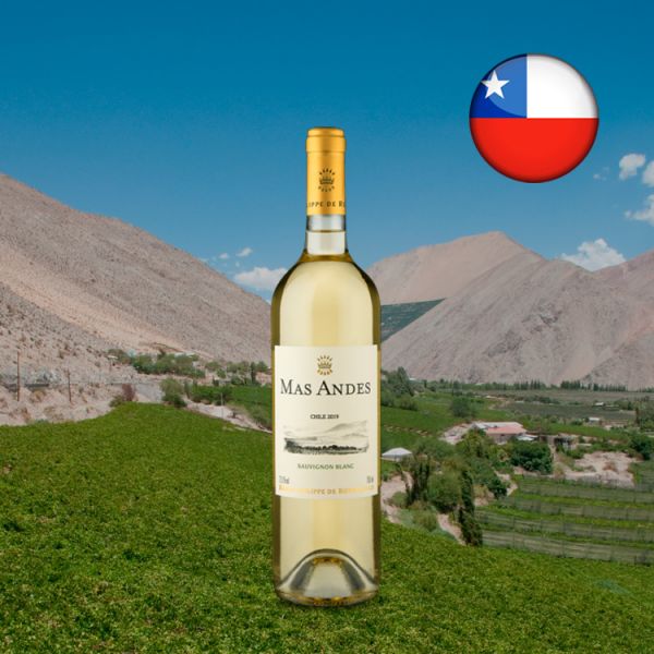 Baron Philippe de Rothschild Mas Andes Sauvignon Blanc 2019 - Oferta