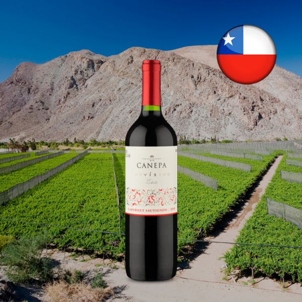 Canepa Novísimo Cabernet Sauvignon 2019 - Oferta