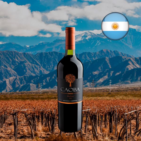 Caoba Oaked Malbec 2019 - Oferta