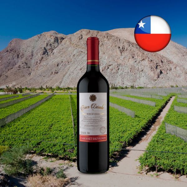 Finca Dorada Selección Especial Cabernet Sauvignon 2019 - Oferta