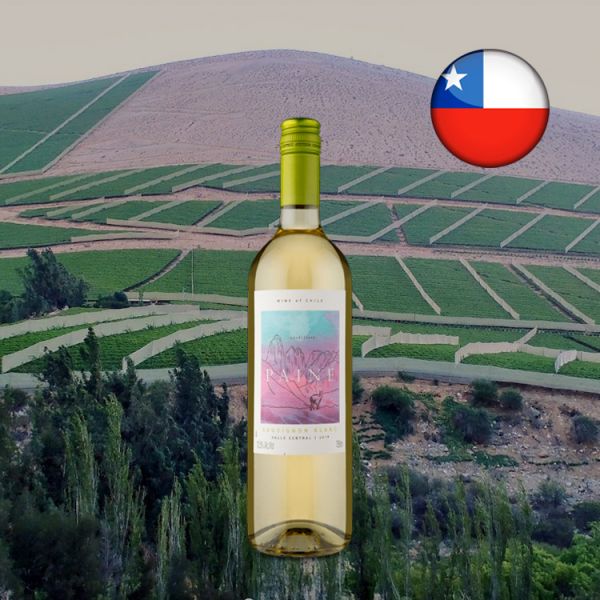 Paine Sauvignon Blanc 2019 - Oferta