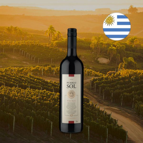 Pueblo del Sol Pinot Noir 2020 - Oferta