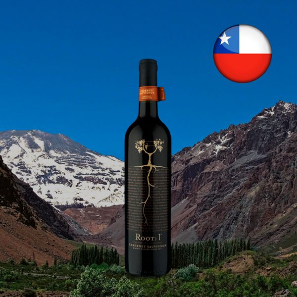 Root: 1 Reserva Maipo Valley Cabernet Sauvignon 2017 - Oferta