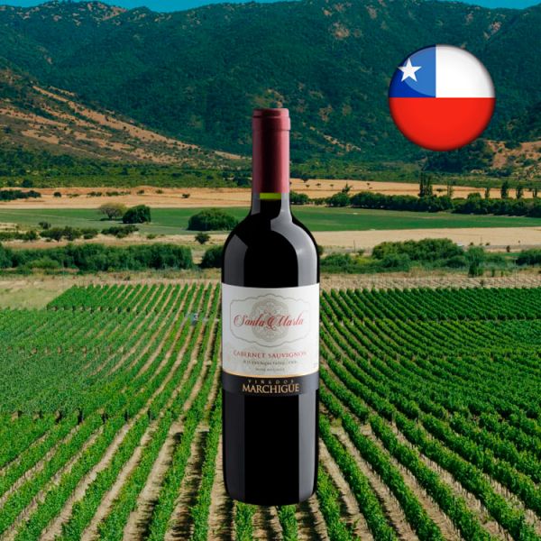 Santa Marta Cabernet Sauvignon 2019 - Oferta