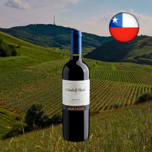 Santa Marta Colchagua Valley Merlot D.O. 2019 - Oferta