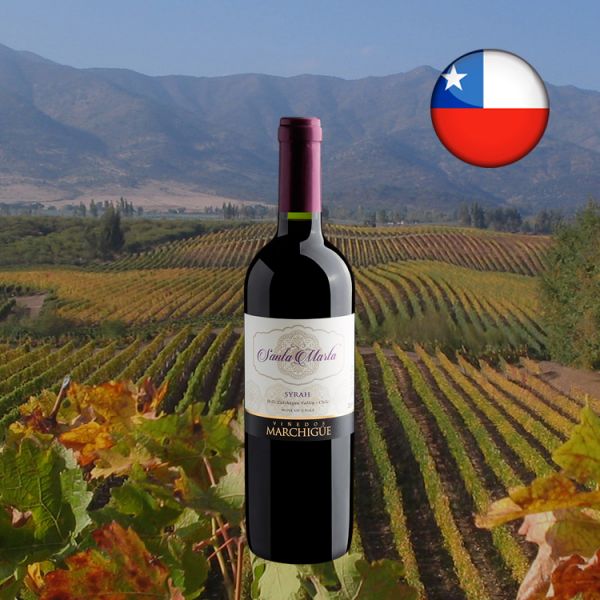 Santa Marta Colchagua Valley Syrah D.O. 2019 - Oferta