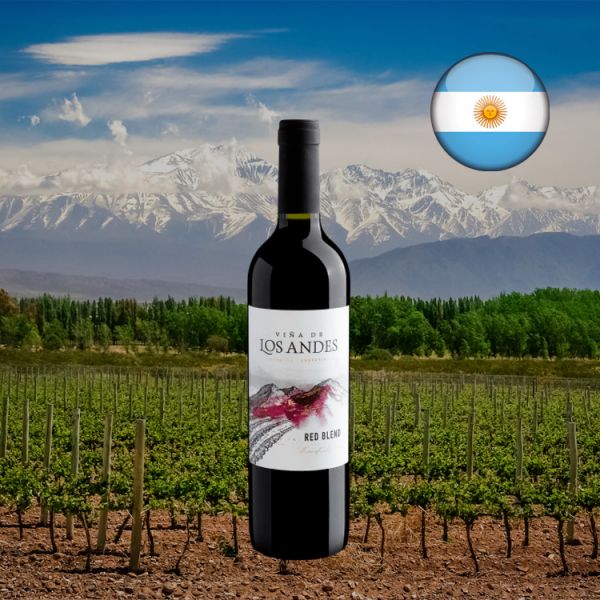 Viña de Los Andes Red Blend 2019 - Oferta