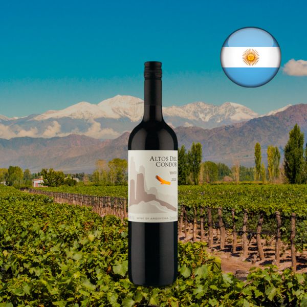 Altos del Condor Tinto 2020 - Oferta