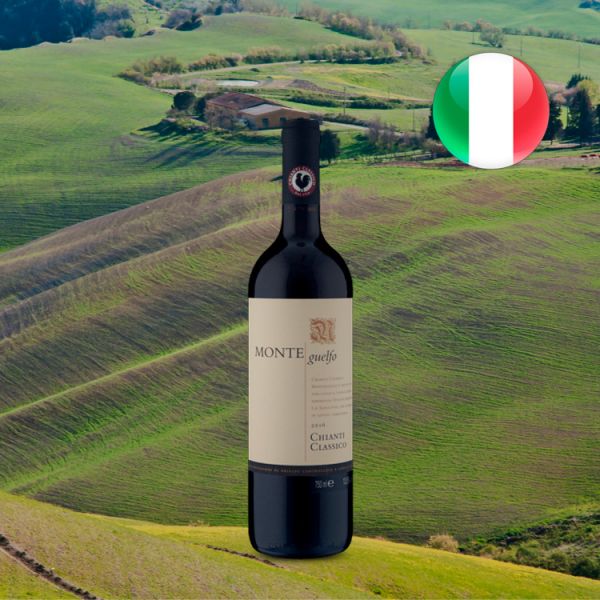 Monteguelfo D.O.C.G. Chianti Classico 2016 - Oferta