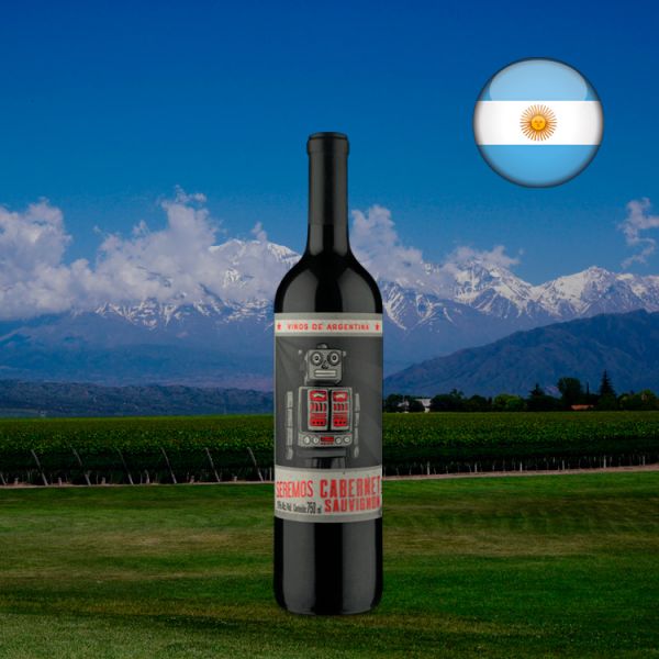 Seremos Cabernet Sauvignon 2020 - Oferta
