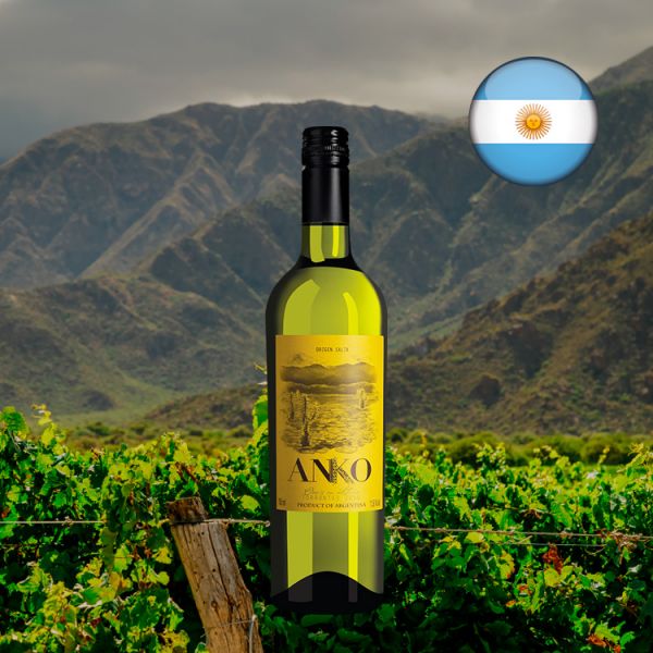 Anko Torrontés 2019 - Oferta