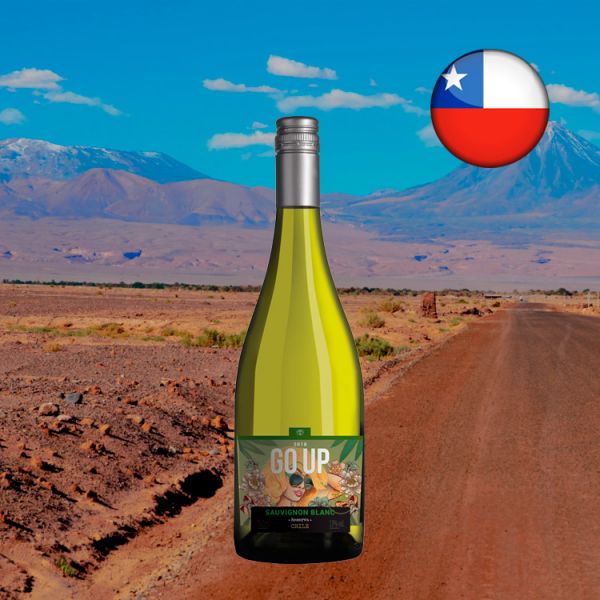 GO UP Sauvignon Blanc Reserva 2019 - Oferta