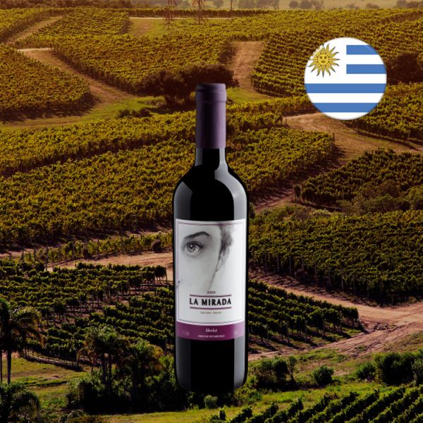 La Mirada Merlot 2019 - Oferta