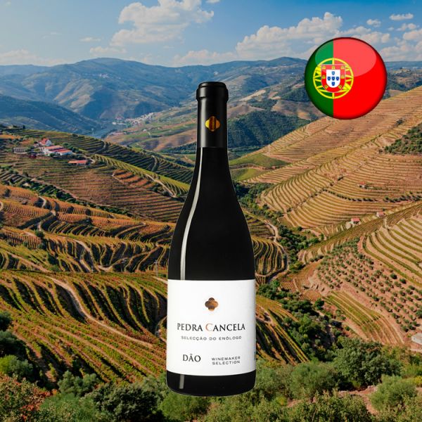 Pedra Cancela Seleção do Enólogo Dão Tinto 2016 - Oferta