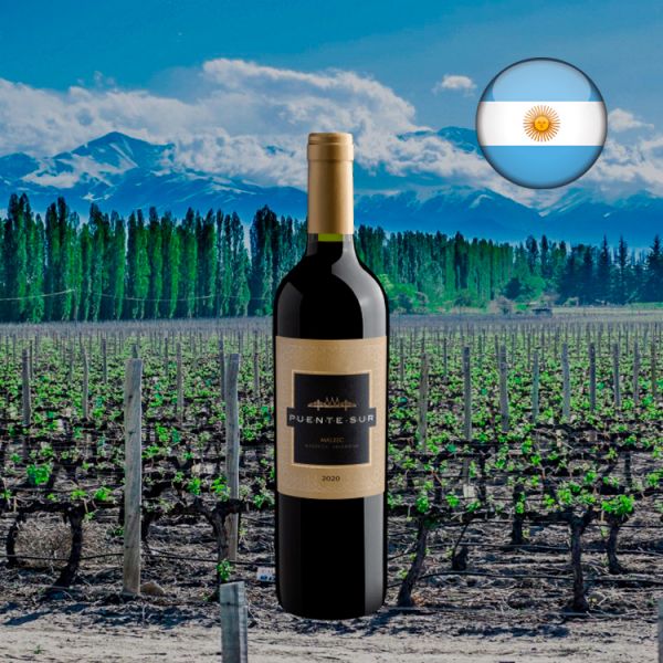 Puente Sur Malbec 2020 - Oferta