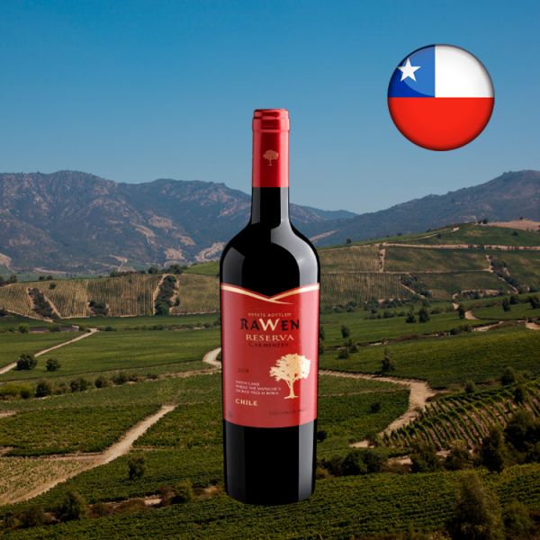 Rawen Reserva Carménère 2019 - Oferta