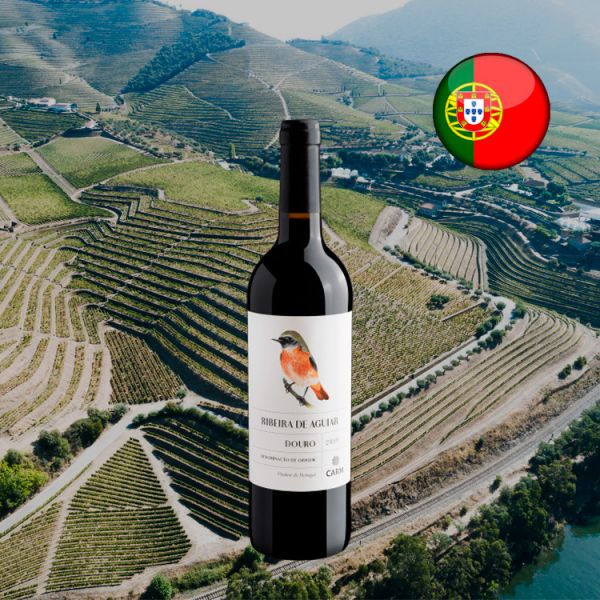 Ribeira de Aguiar Douro DOC 2019 - Oferta
