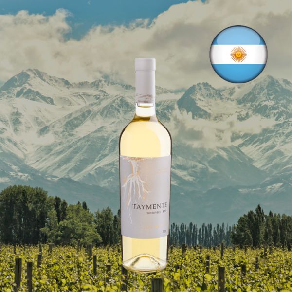 Taymente Torrontés 2017 - Oferta