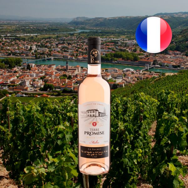 Terre Promise Malbec Rosé Côtes du Lot 2018 - Oferta