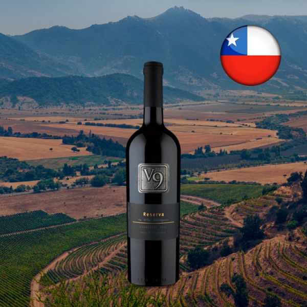 V9 Reserva Carménère 2018 - Oferta
