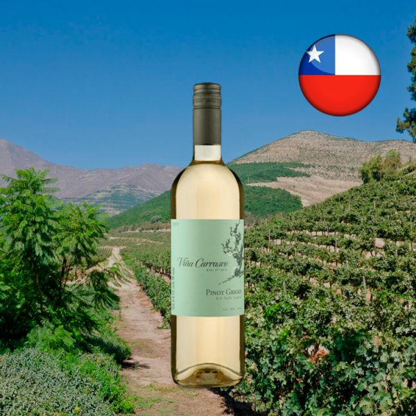 Viña Carrasco D.O. Valle Central Pinot Grigio 2020 - Oferta