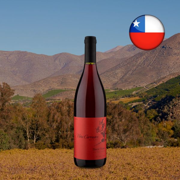 Viña Carrasco D.O. Valle Central Pinot Noir 2020 - Oferta