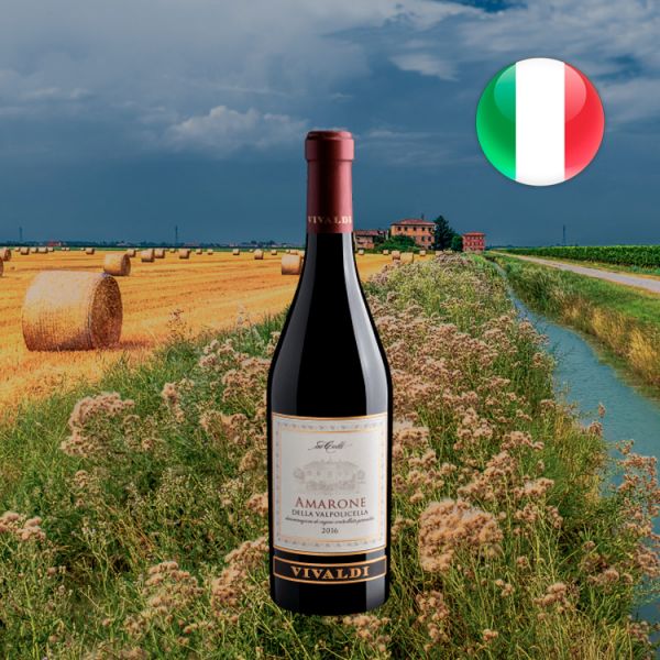 Ai Colli Vivaldi Amarone della Valpolicella DOCG 2016 - Oferta